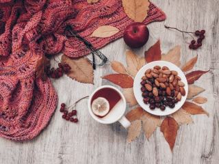 Echarpe alpaga : douceur andine et chaleur sans égal pour l'hiver